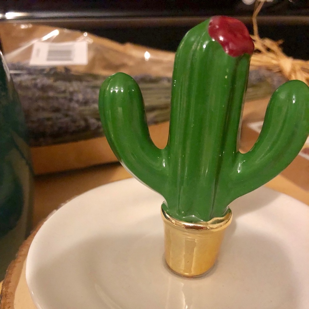 Cactus Ring Holder